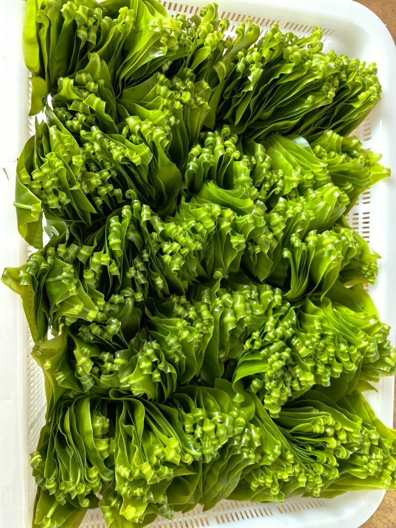 台湾山苏菜