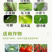 果树蔬菜花卉食心虫蚜虫青虫1.8%阿维菌素杀虫低毒