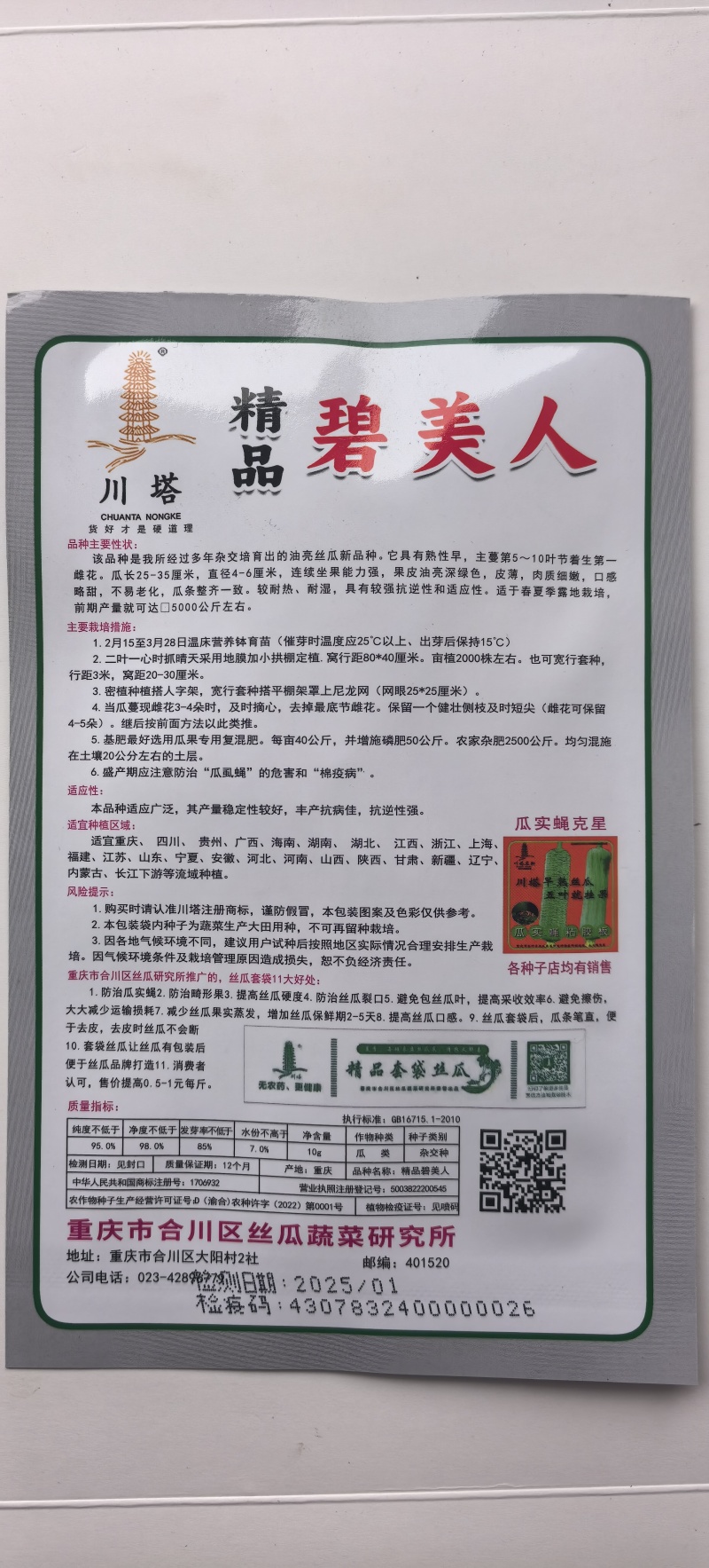 丝瓜种子碧美人翠绿色油亮丝瓜顺直整齐强雌挂果量大