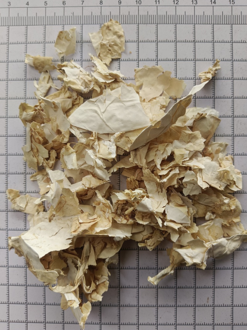 凤凰衣，鸡蛋衣，凤凰退，鸡卵中白皮，实拍现货，接单秒发货