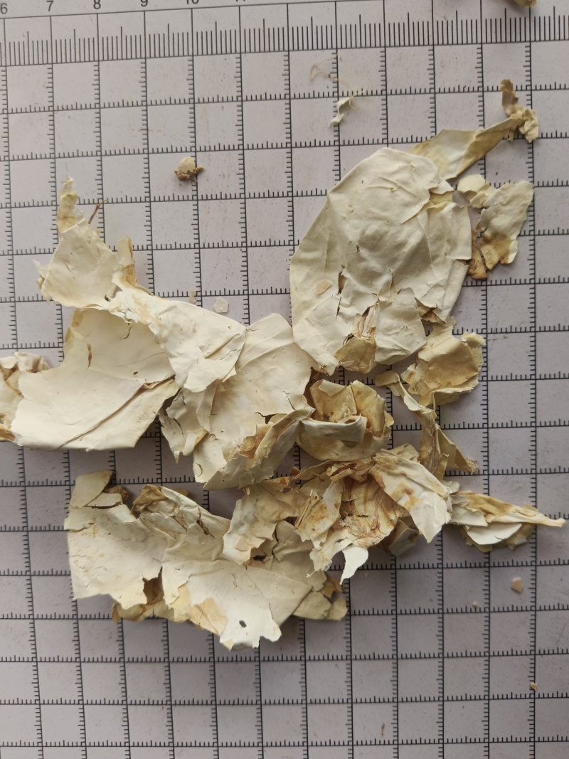 凤凰衣，鸡蛋衣，凤凰退，鸡卵中白皮，实拍现货，接单秒发货