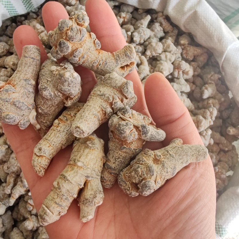 .三七个云南文山三七田七500克条形三七水洗三七批发