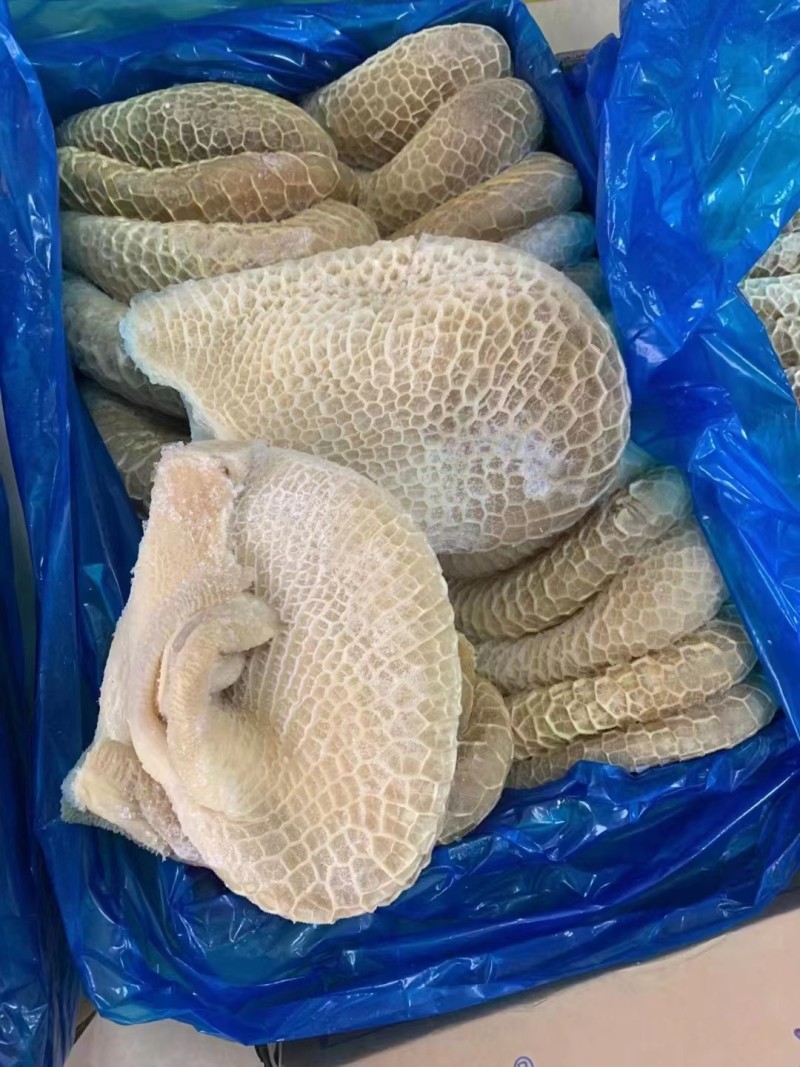 水煮熟金钱肚，解冻即可使用。！！！