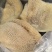 水煮熟金钱肚，解冻即可使用。！！！