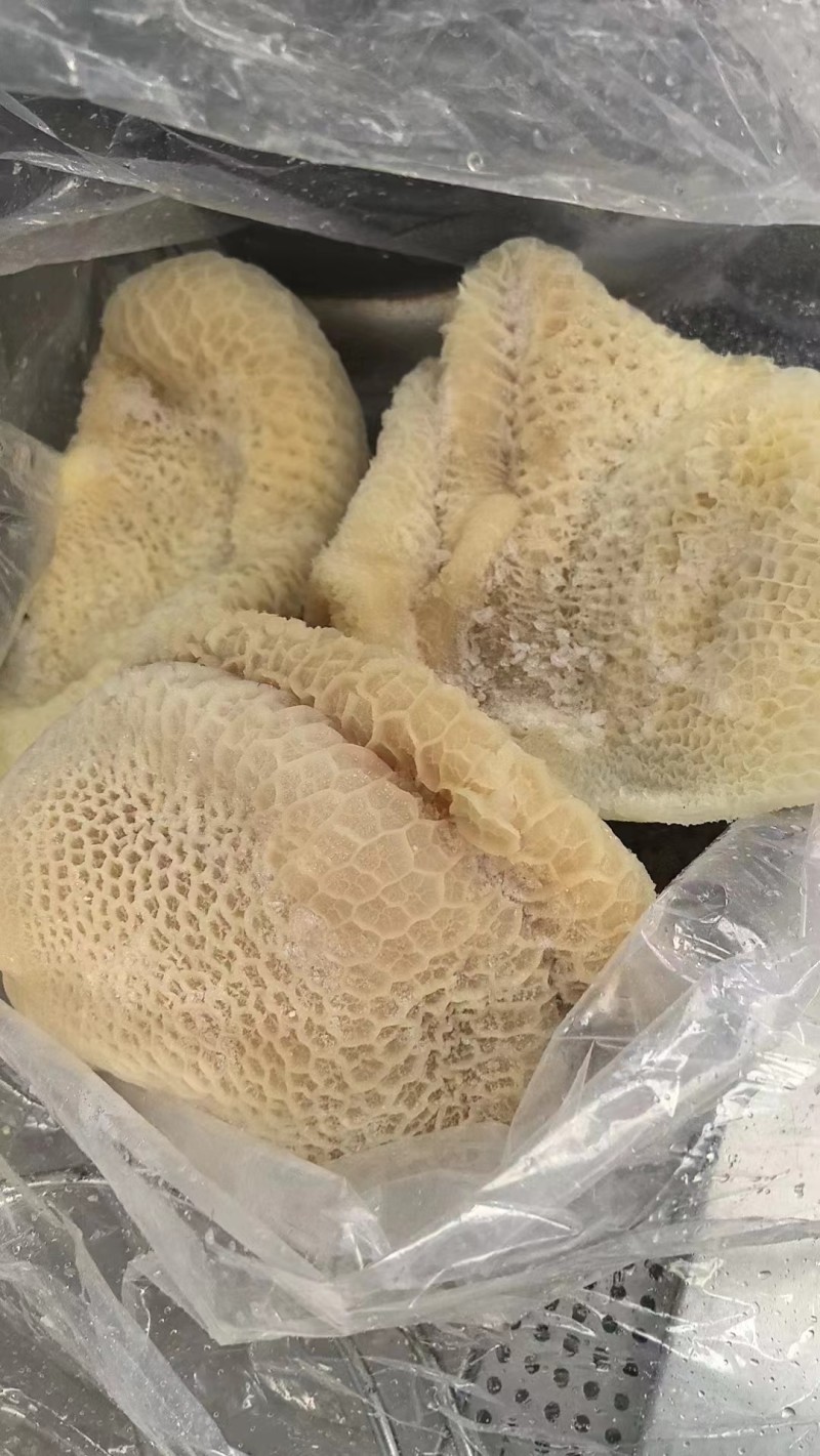 水煮熟金钱肚，解冻即可使用。！！！