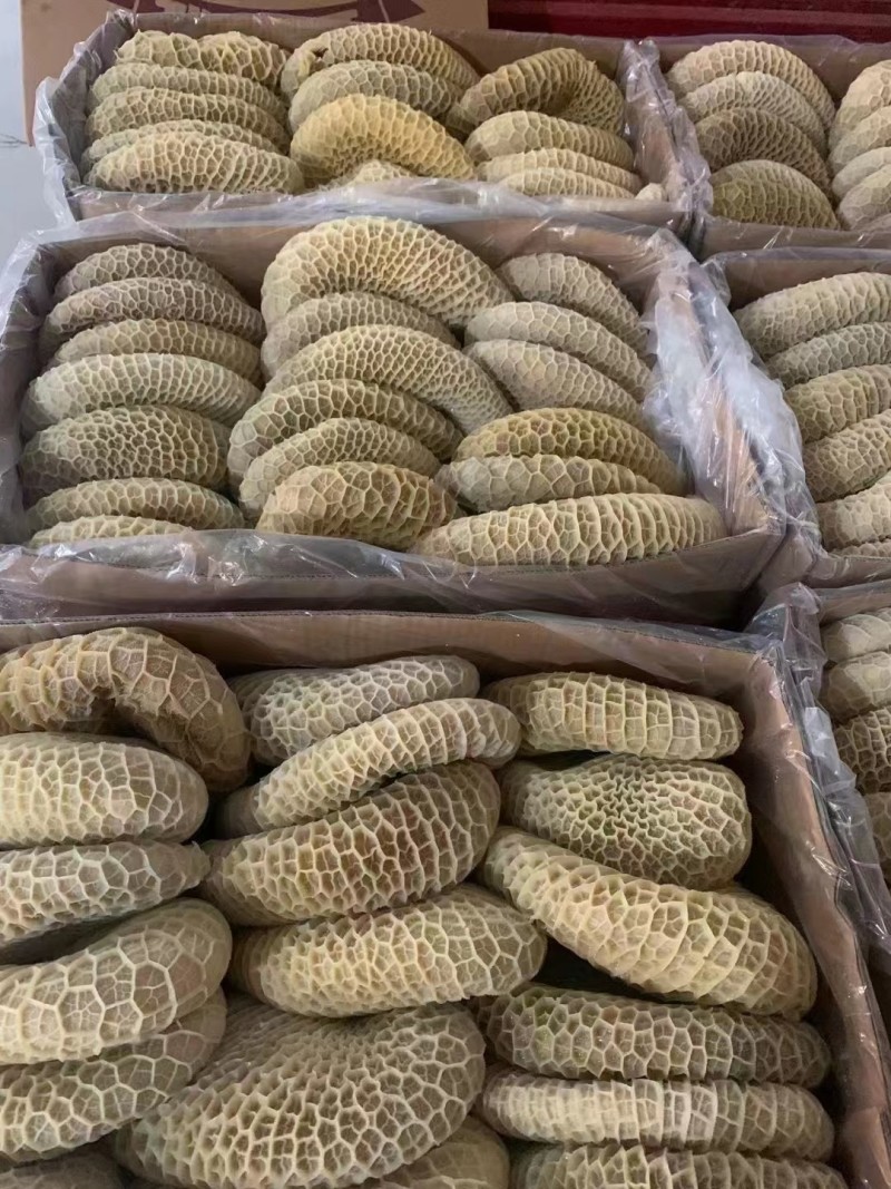 水煮熟金钱肚，解冻即可使用。！！！