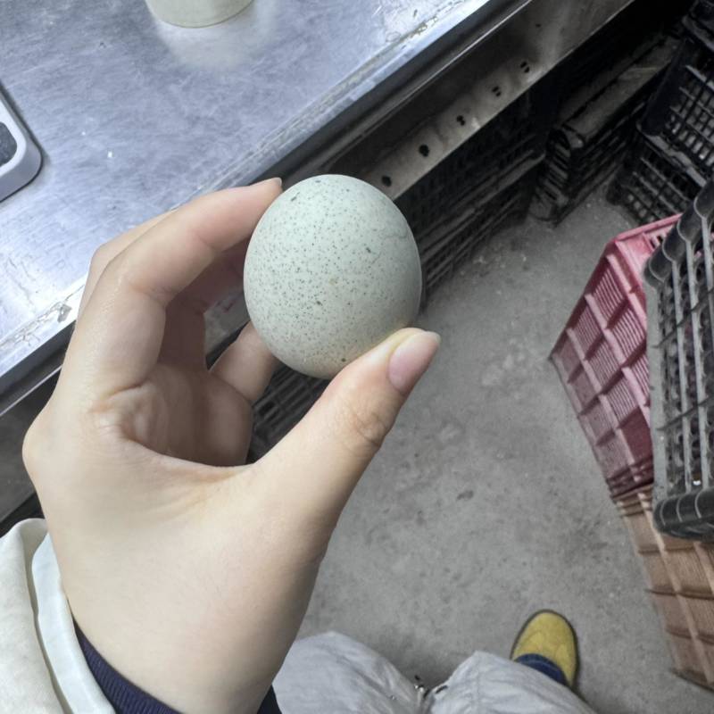 皮蛋裂纹便宜出有需要的来