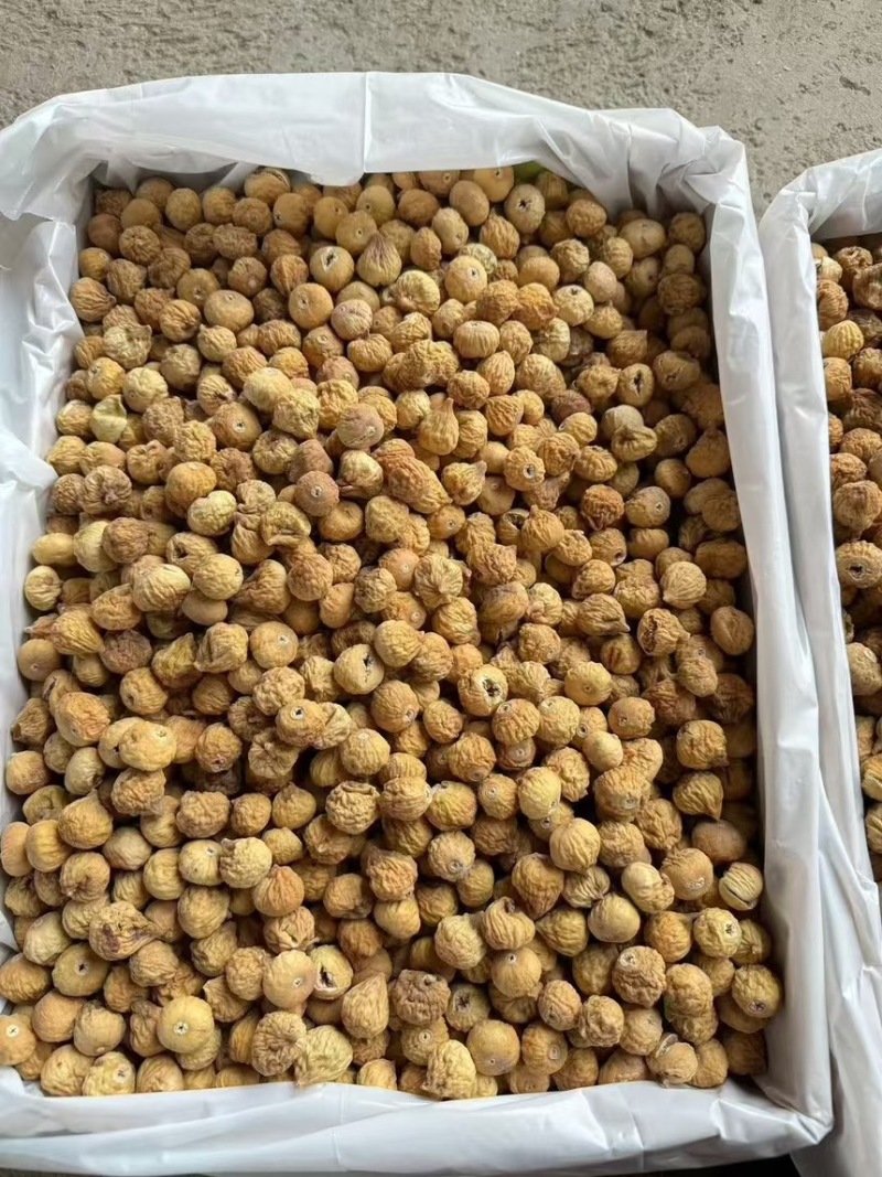 无花果伊朗无花果产地货量大价廉物美大货量大从优