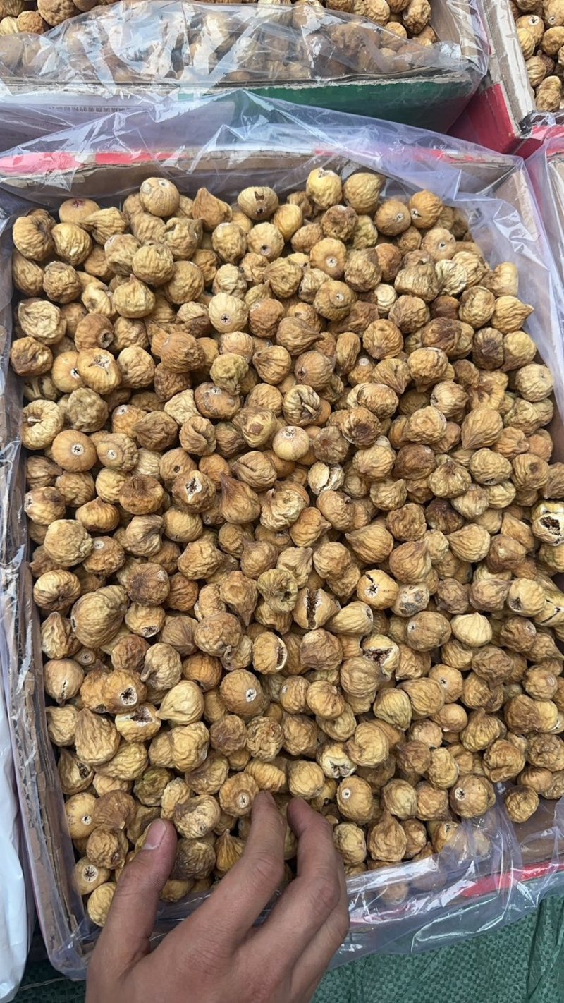 无花果伊朗无花果产地货量大价廉物美大货量大从优
