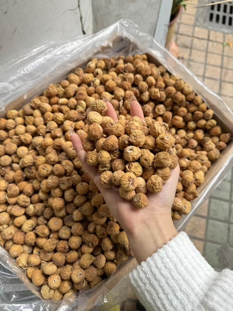 无花果伊朗无花果产地货量大价廉物美大货量大从优