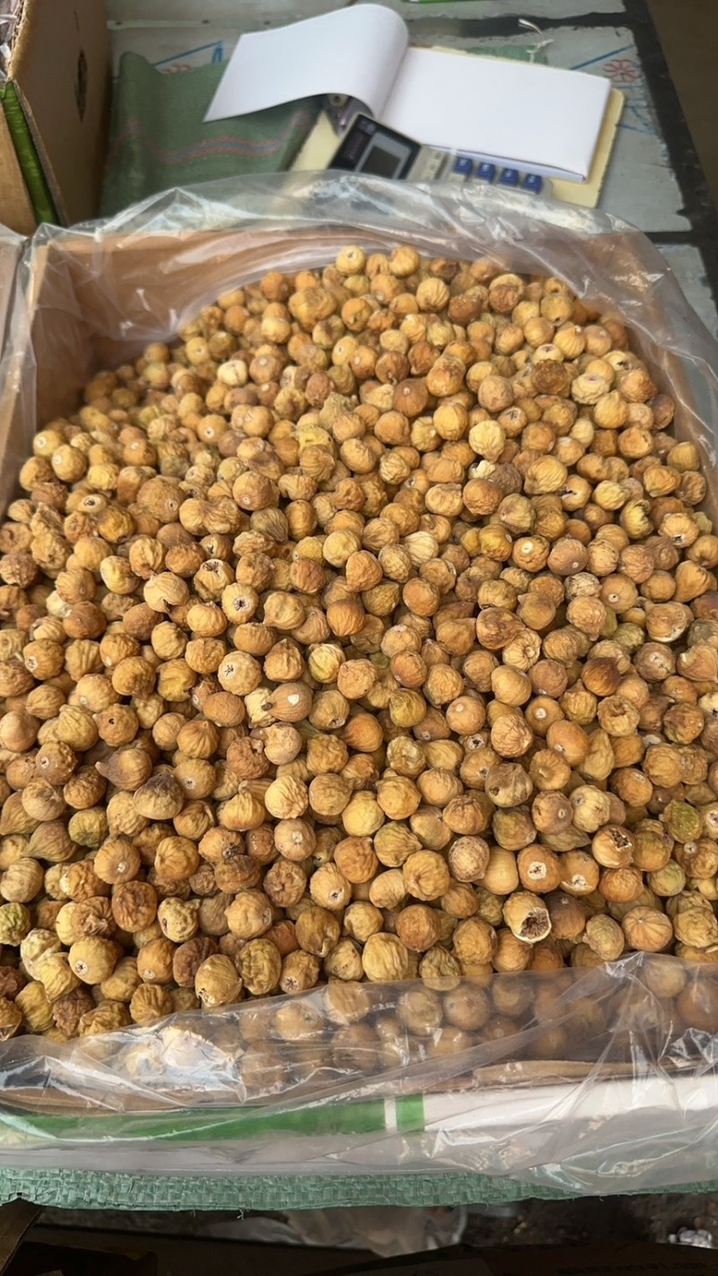 无花果伊朗无花果产地货量大价廉物美大货量大从优