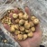 无花果干伊朗无花果干产地货源物美价廉