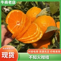 大炮桔丑橘大量供应中，口感甜化渣爆汁，对接电商一件代发