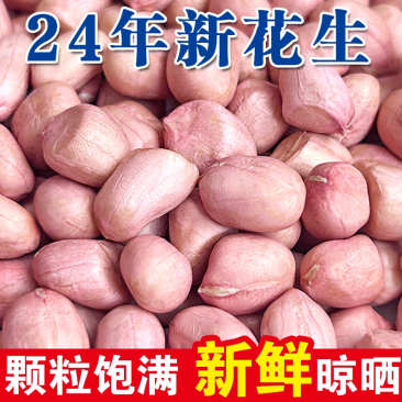 干货花生米水分9-9.5无霉变无沙无土质量保证