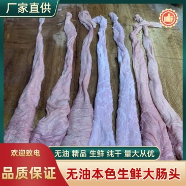 猪大肠大肠头无油精品生鲜大肠头纯干本色量大稳定屠场供应