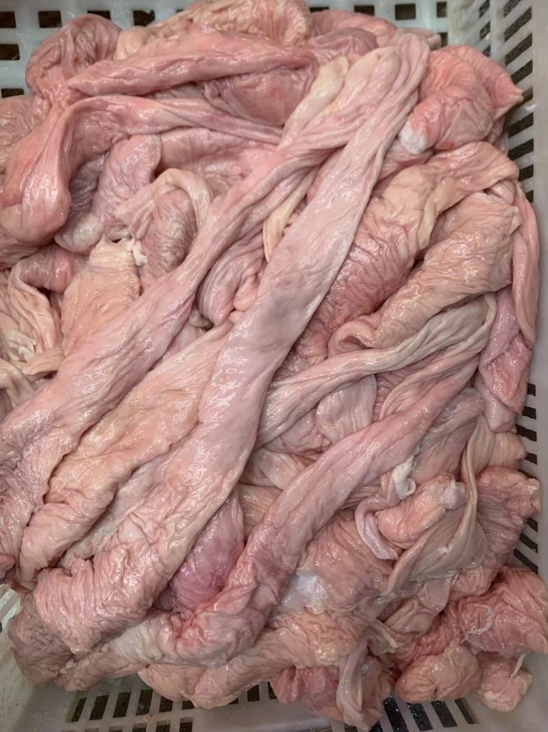 猪大肠大肠头无油精品生鲜大肠头纯干本色量大稳定屠场供应