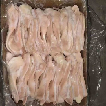猪耳朵猪副产品新鲜带根猪耳朵散养猪耳朵卤菜