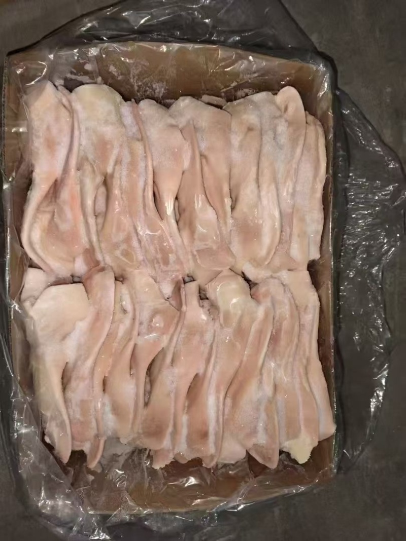 猪耳朵猪副产品新鲜带根猪耳朵散养猪耳朵卤菜