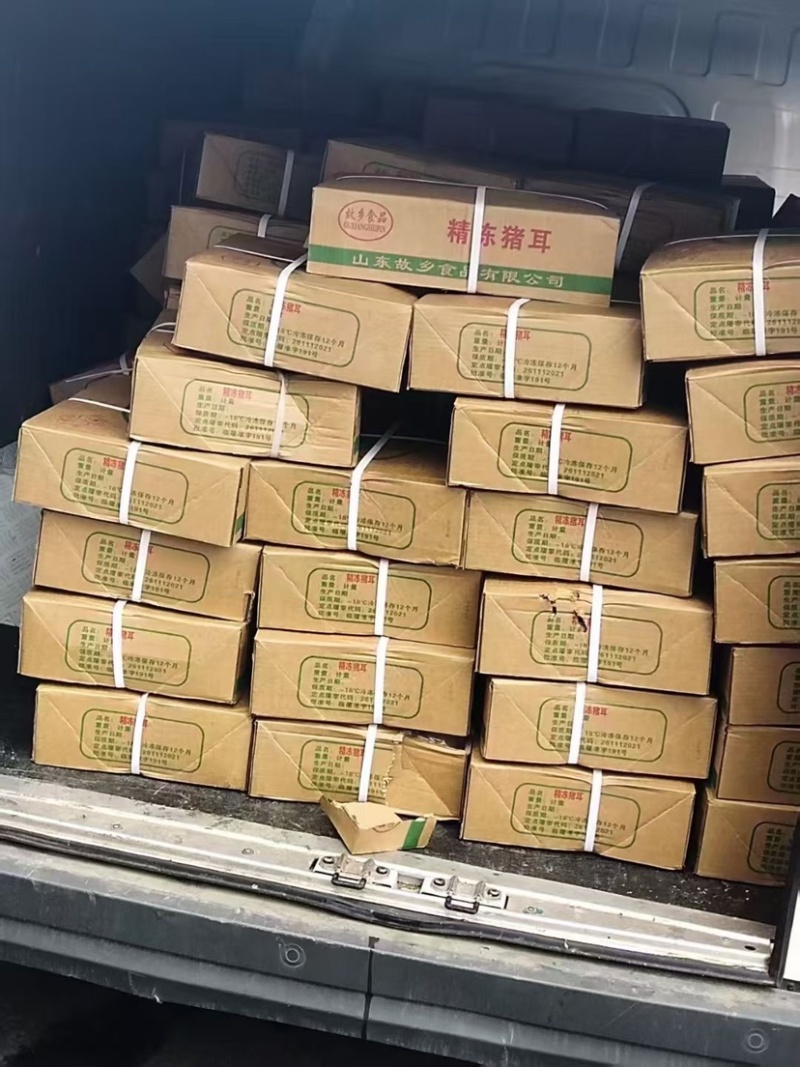 猪耳朵猪副产品新鲜带根猪耳朵散养猪耳朵卤菜