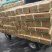 猪耳朵猪副产品新鲜带根猪耳朵散养猪耳朵卤菜