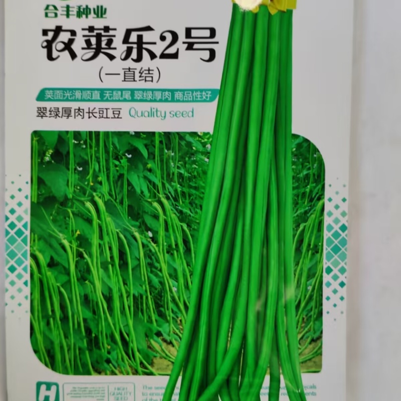 农荚乐2号-豇豆种子翠绿厚肉条荚略粗耐老化不鼓粒