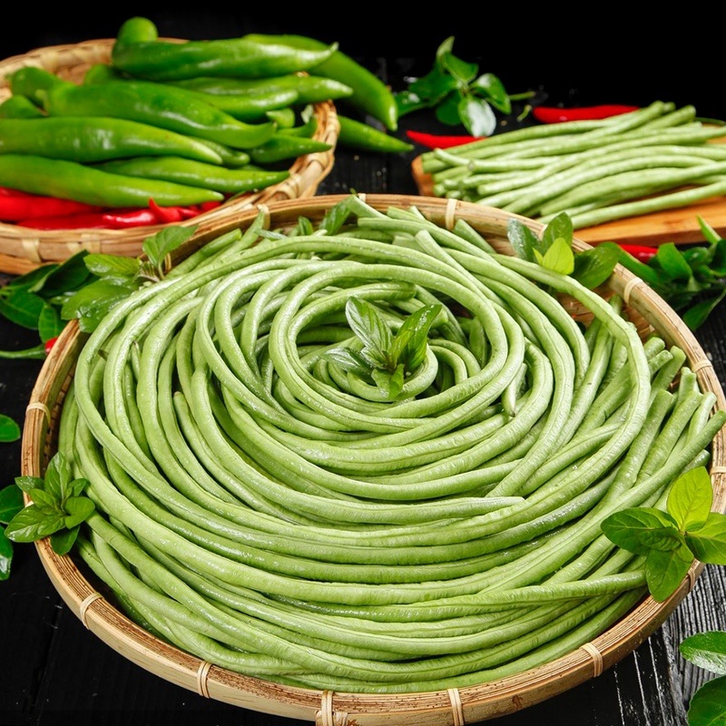 农荚乐2号-豇豆种子翠绿厚肉条荚略粗耐老化不鼓粒