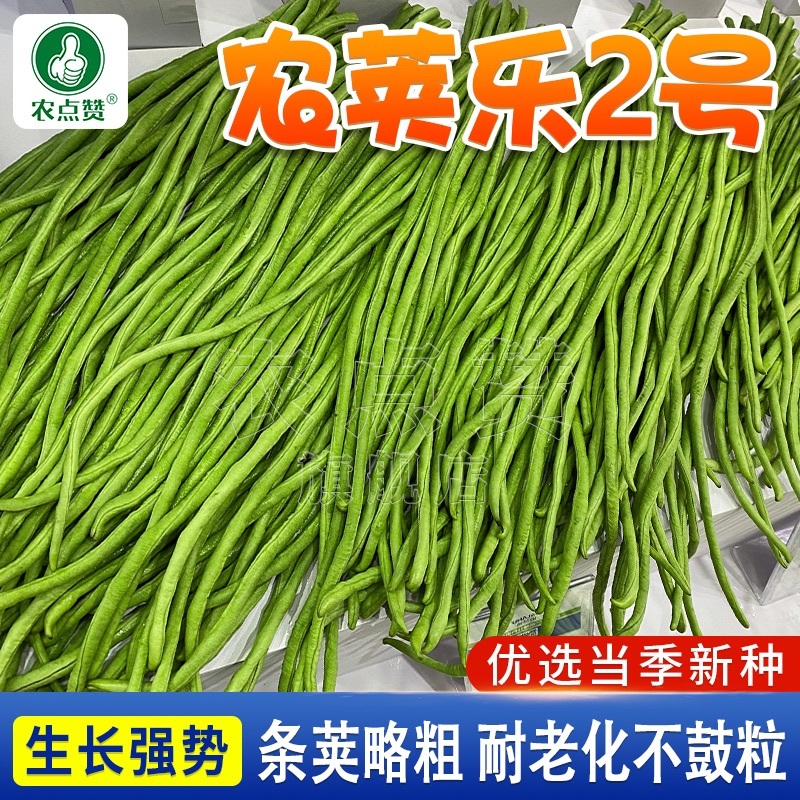 农荚乐2号-豇豆种子翠绿厚肉条荚略粗耐老化不鼓粒