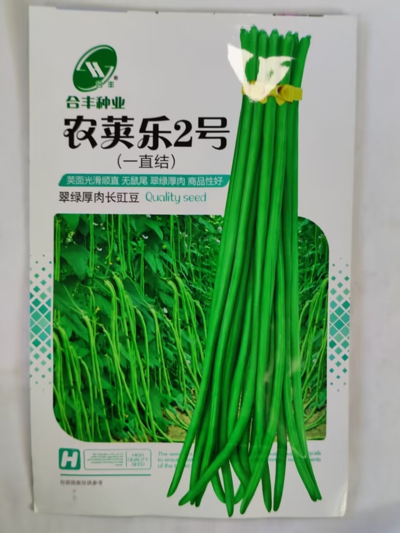 农荚乐2号-豇豆种子翠绿厚肉条荚略粗耐老化不鼓粒