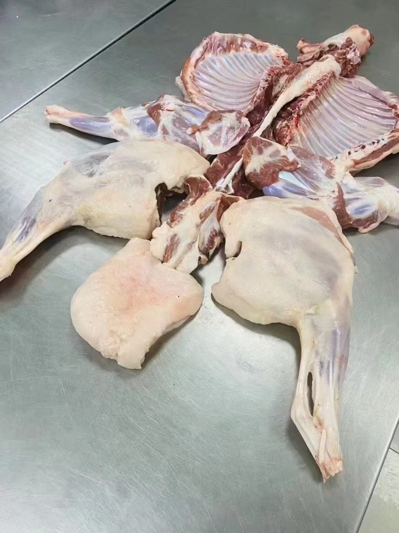 【羊八分体】当地草原绵羊的长年有货！鲜干冻品！不是标准件