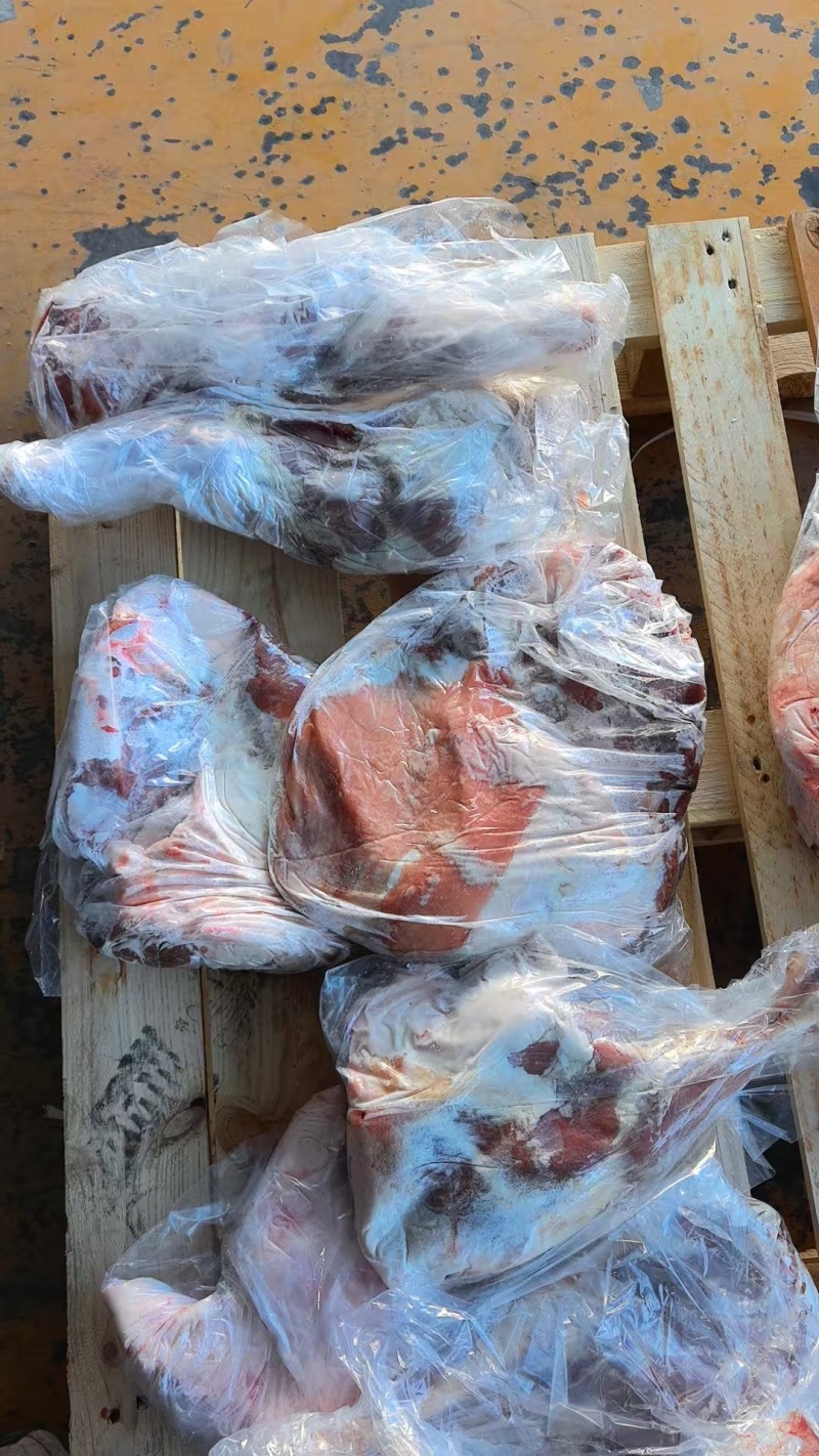 【羊八分体】当地草原绵羊的长年有货！鲜干冻品！不是标准件
