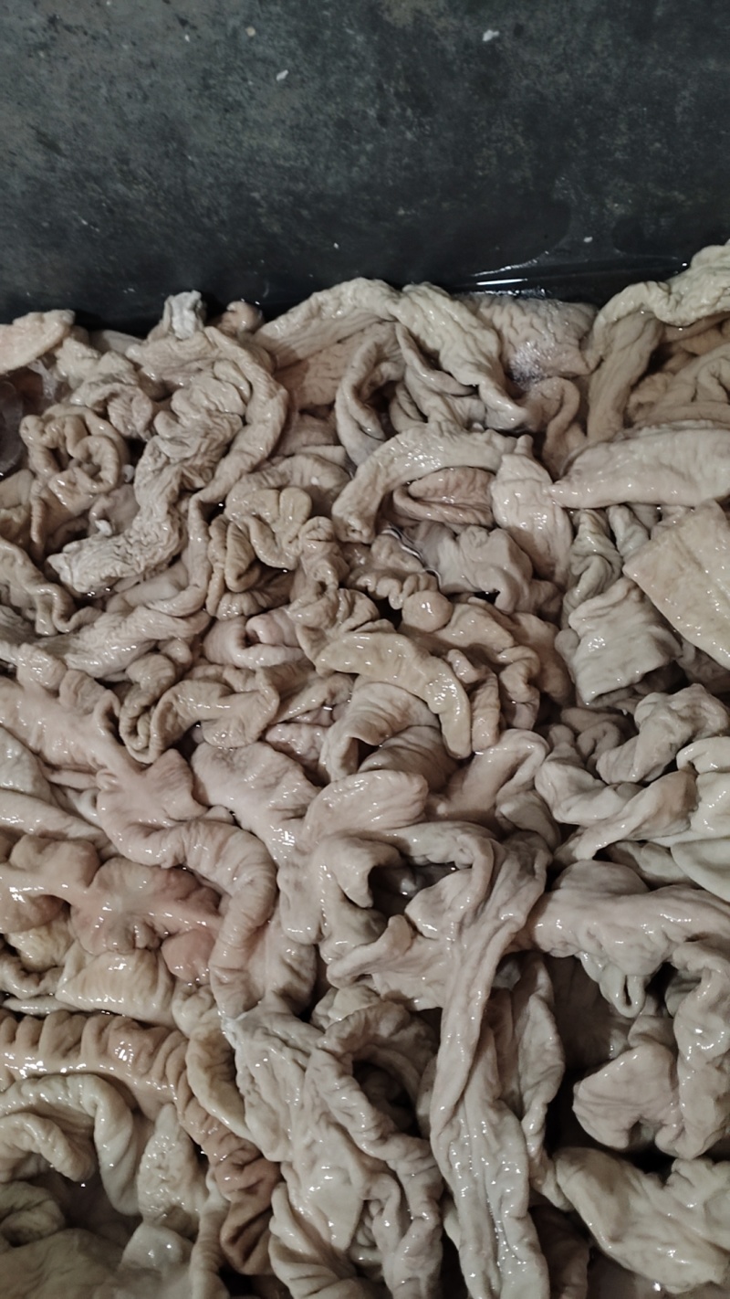 小肠冒节子现卤小肠冒节子干净无苦味现卤现发纯干厂家直发