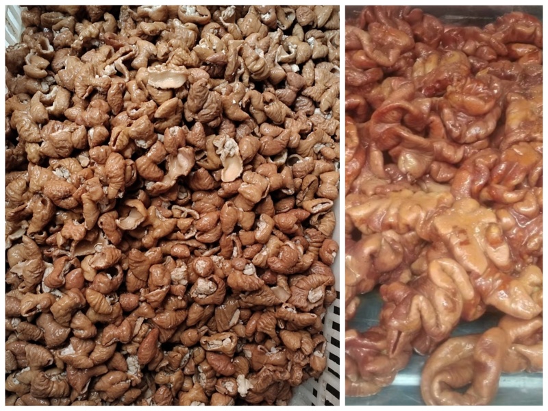小肠冒节子现卤小肠冒节子干净无苦味现卤现发纯干厂家直发