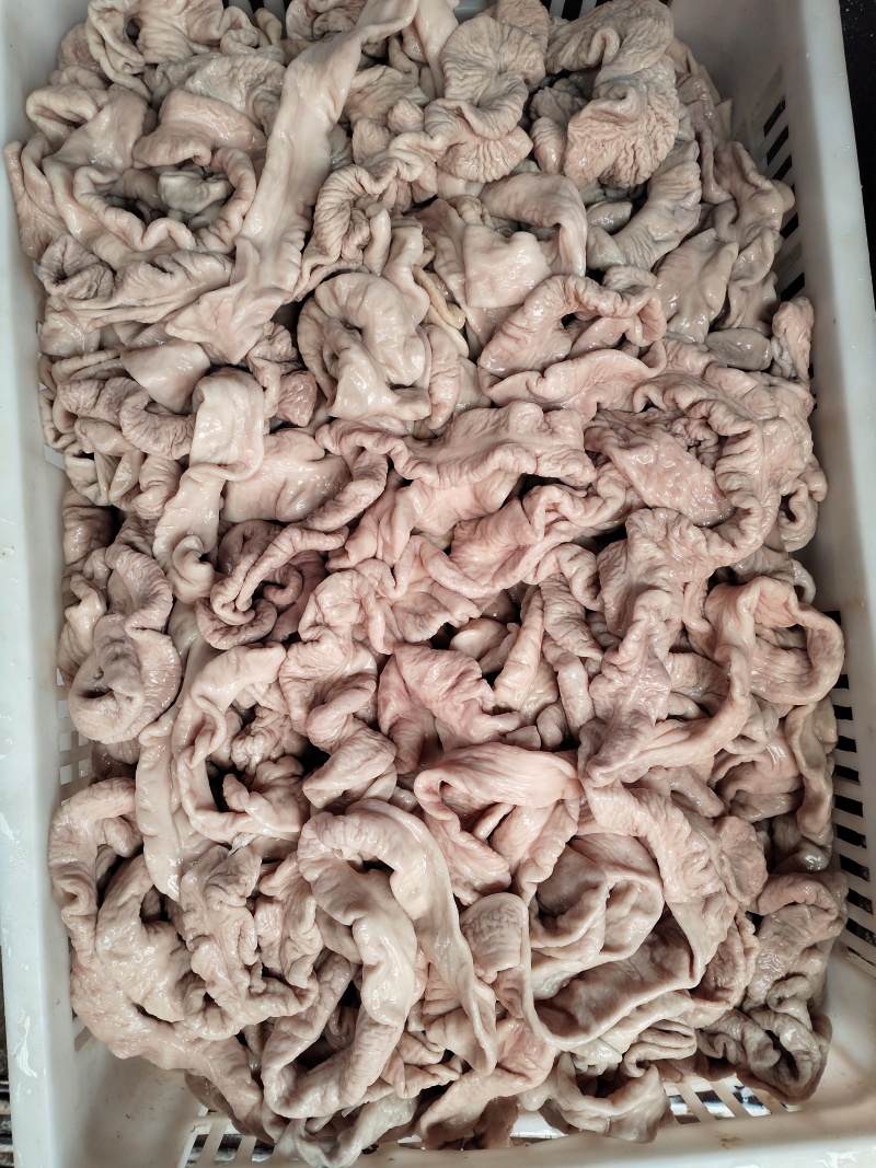 小肠冒节子现卤小肠冒节子干净无苦味现卤现发纯干厂家直发
