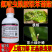 老牌子刀郎15氟啶酰胺联苯菊酯桃树桃蚜茶小绿叶蝉正品农药