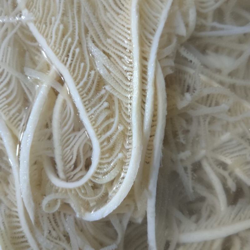 水煮白千层重庆工厂直发火锅佳选