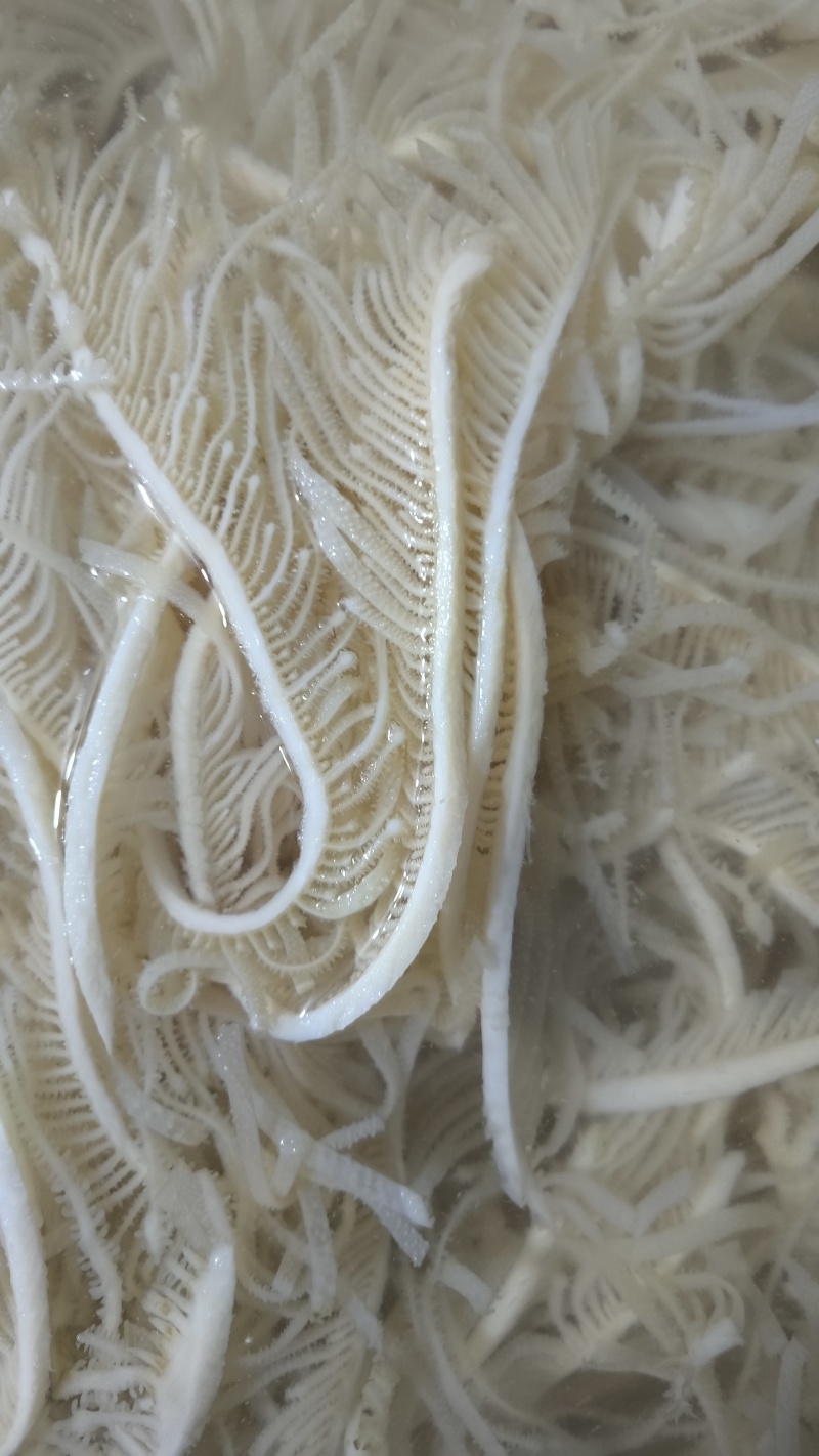 水煮白千层重庆工厂直发火锅佳选