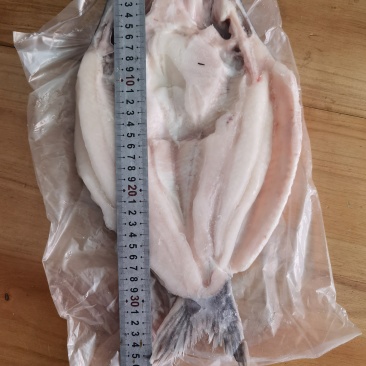 清江鱼渔翁烤鱼开背鱼转炉烤鱼
