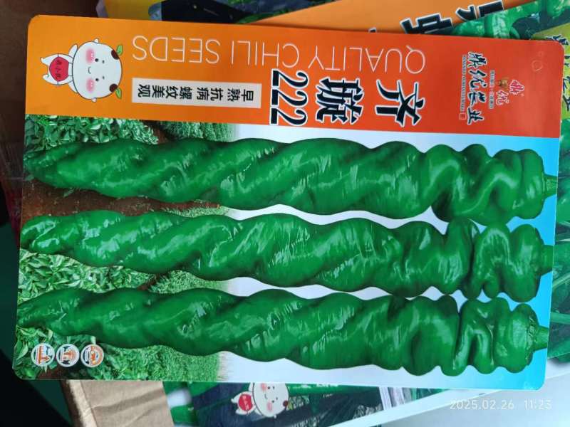 螺丝椒种子皮薄麻面精品果率高鼎优农业螺丝椒齐璇222