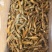 蛏王肉舌头竹蛏王肉海蛏子肉舌头竹节蛏子肉捞汁食材蛏王柱