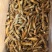蛏王肉舌头竹蛏王肉海蛏子肉舌头竹节蛏子肉捞汁食材蛏王柱