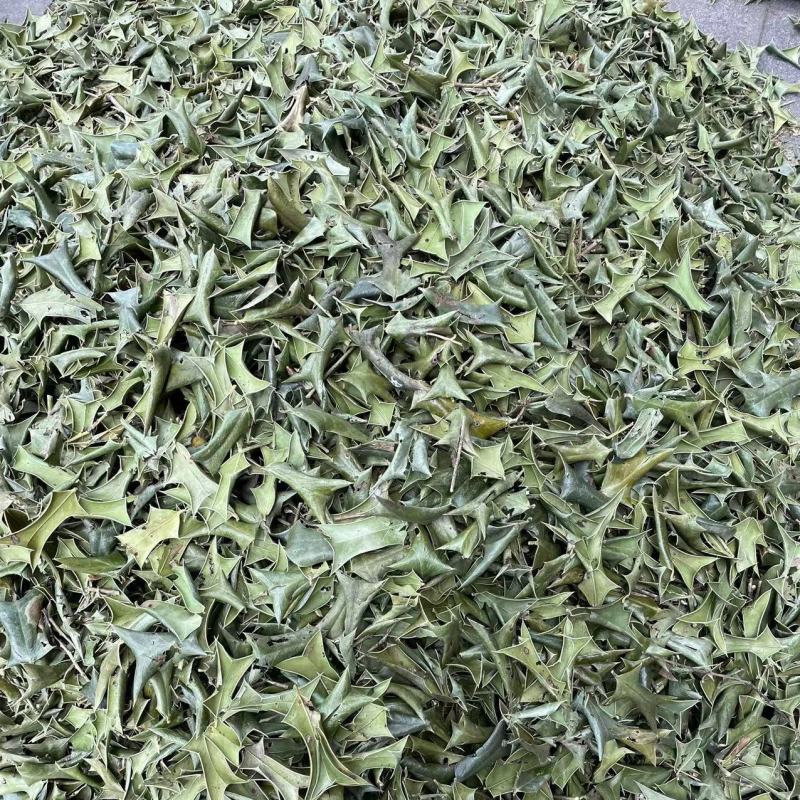 枸骨叶1公斤中草药材枸骨叶功劳叶羊角刺干品