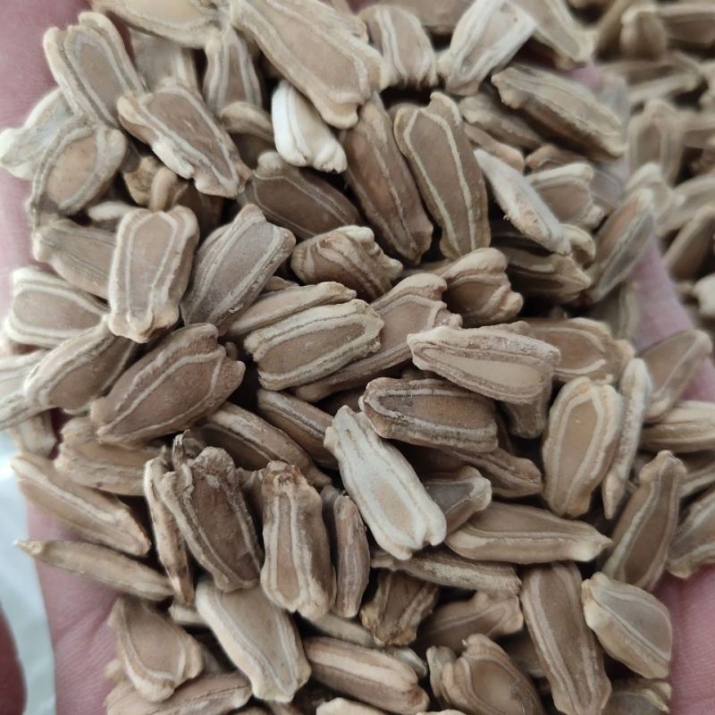 葫芦籽1公斤中药材苦葫芦籽中草药苦葫芦籽葫芦子正品