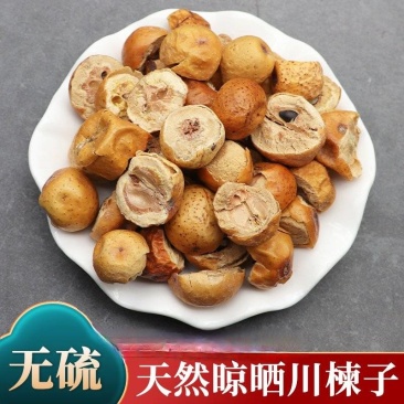 川楝子批发川楝子产地一手货源量大价优货源充足