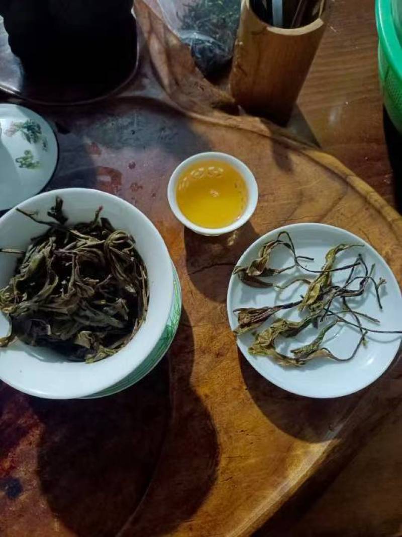 普洱散生，易武正山老树茶