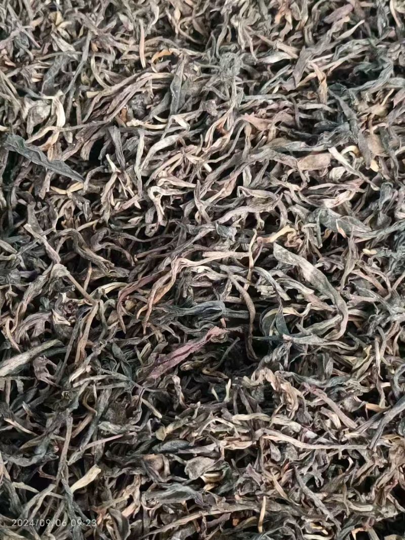 普洱散生，易武正山老树茶