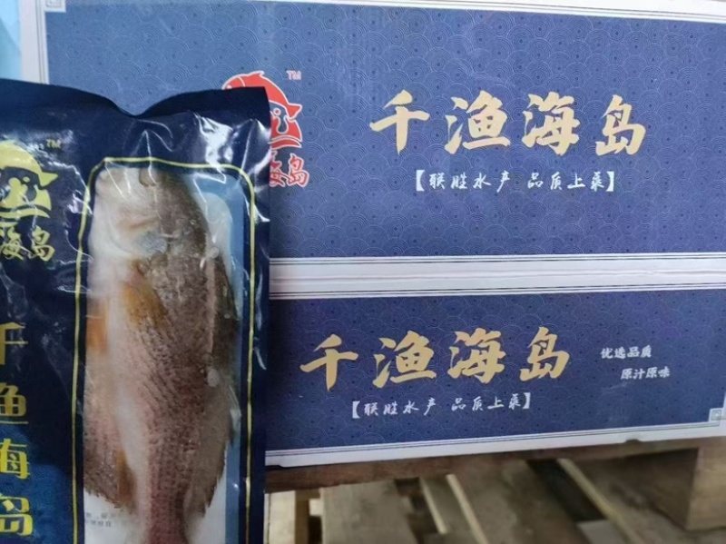 速冻开背鲈鱼烤鱼食材