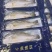 速冻开背鲈鱼烤鱼食材
