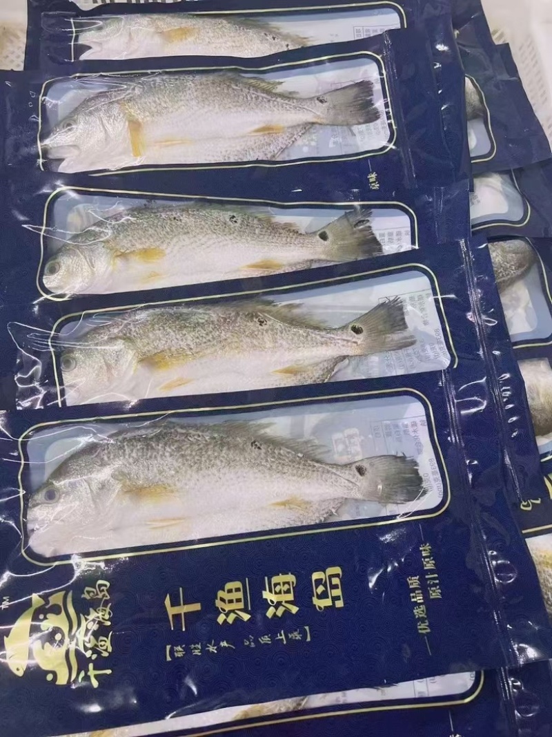 速冻开背鲈鱼烤鱼食材