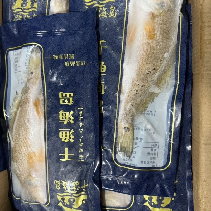 速冻开背鲈鱼烤鱼食材