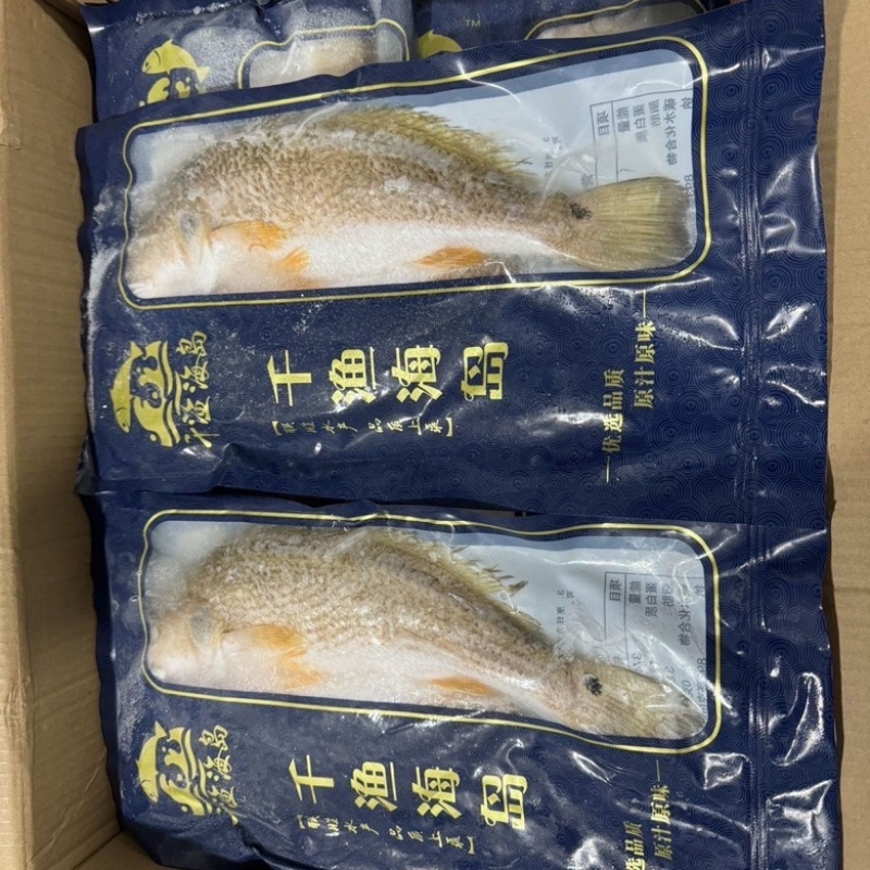 速冻开背鲈鱼烤鱼食材